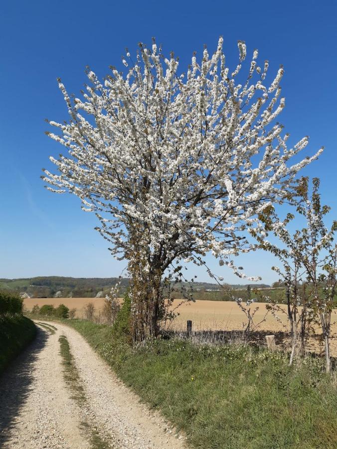 Casa Della Nonna Bungalow 2 Simpelveld Zewnętrze zdjęcie